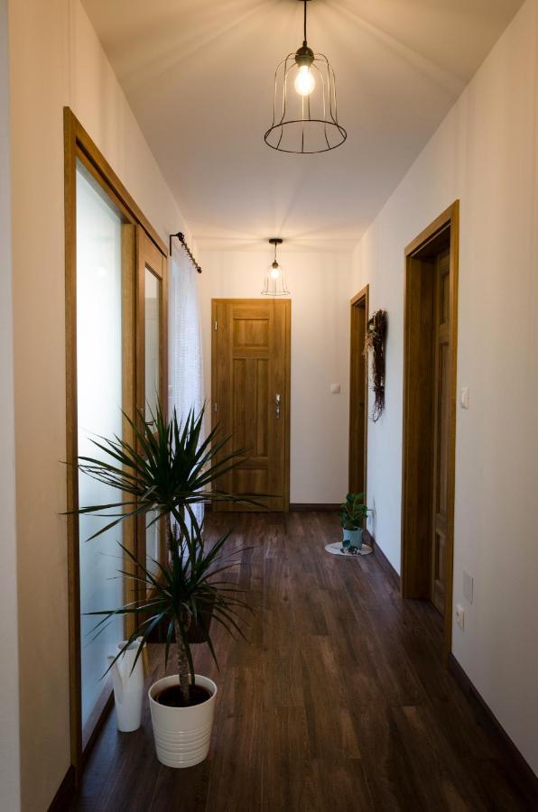 Apartmany U Kotacku Veverske Kninice Dış mekan fotoğraf